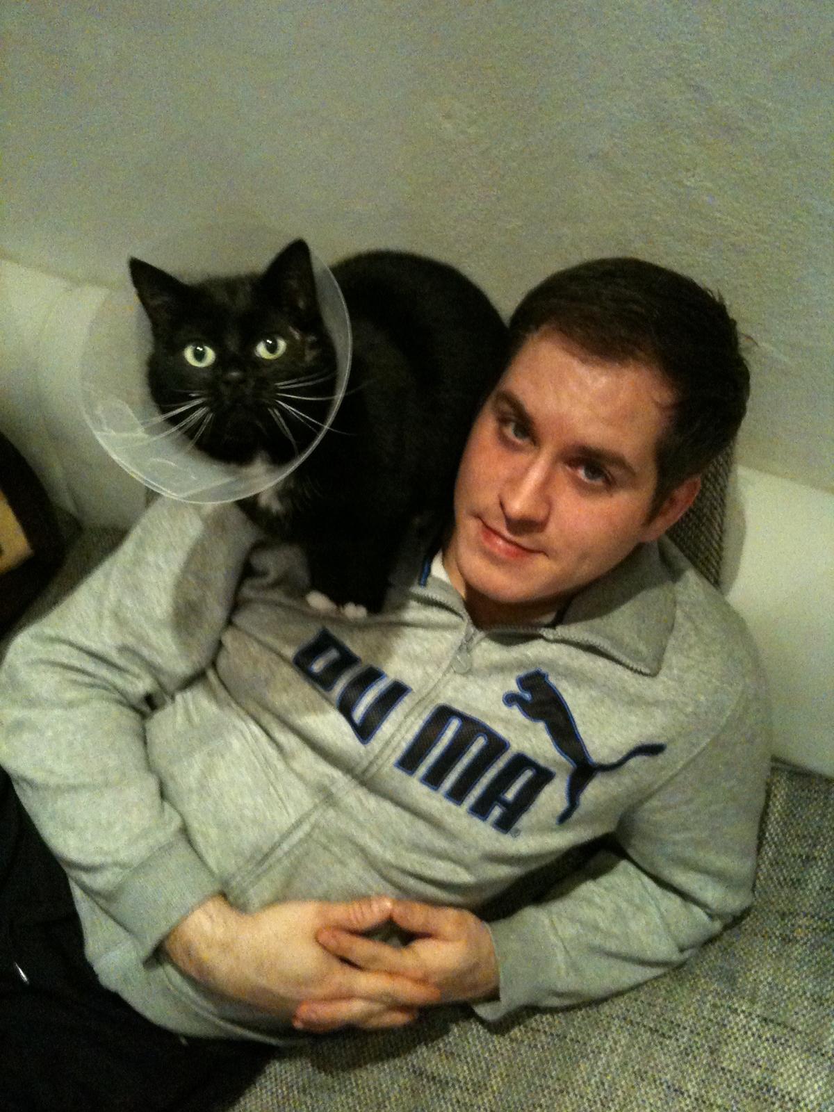 Honey, Michels Katze, nach der OP mit Halskrause — persönliche Erfahrung mit Tierarztkosten